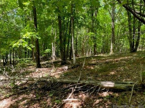 244 St, Roxbury CT 06783-1014 exterior