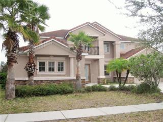 8368 Dunham Station Dr, Tampa FL  33647-3386 exterior