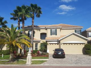 18027 Cozumel Isle Dr, Tampa FL  33647-3374 exterior