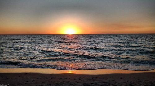 125 Wading Bird Cir, Naples FL 34110-9202 exterior