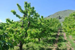 4278 Stemilt Creek Rd, Wenatchee WA  98801-8935 exterior