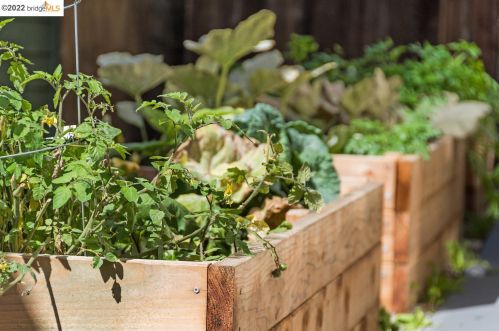 1247 Burnett St, Berkeley CA 94702-2436 exterior