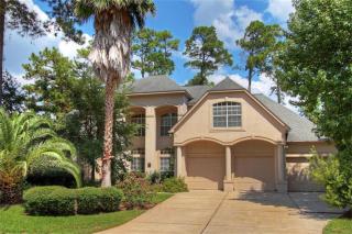 10 Moss Bluff Ct, Spring TX  77382-1284 exterior