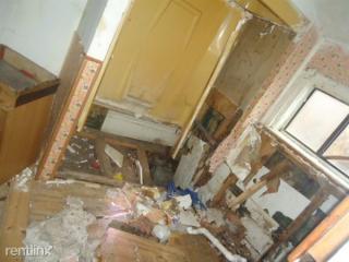 3665 Preston St, Detroit MI  48207-2447 exterior