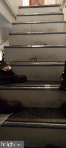 627 Quebec Pl, Washington DC 20010-1609 exterior