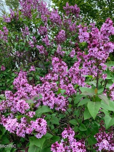 6608 College Ave, Grand Rapids MI 49548-6948 exterior