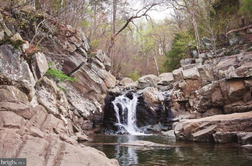 1704 Anderson Rd, Mc Lean VA 22102-1620 exterior