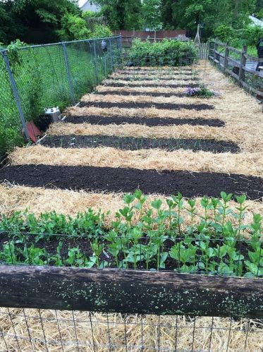 106 Winding St, Huntington Station NY 11746-1251 exterior