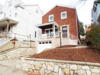 131 Olympia St, Pittsburgh PA  15211-1366 exterior