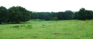 18828 County Road 231, Gainesville, FL 32609-4252