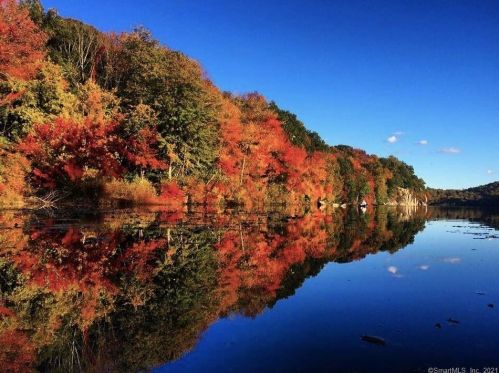 303 Mamanasco Rd, Ridgefield CT 06877-2425 exterior