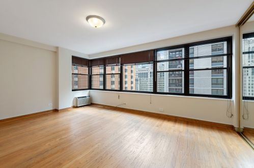 850 Dewitt Pl, Chicago IL 60611-2361 exterior