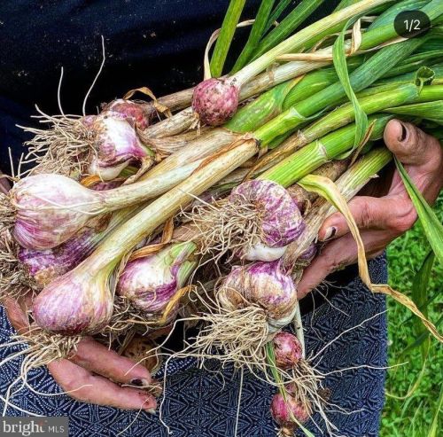 3 War Admiral Ln, Media PA 19063-5238 exterior