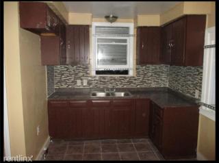 9109 Birwood St, Detroit MI  48204-2678 exterior