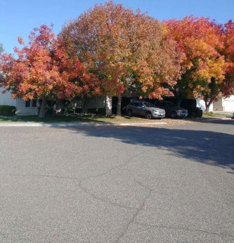 1505 Campbell Way, Turlock, CA 95382-0711