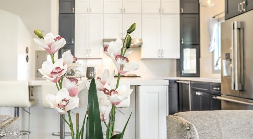 4333 Angela Dr, Phoenix AZ  85032-2282 exterior