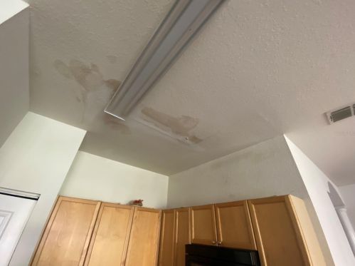 18012 Melibee Stone St, Tampa FL 33647-4045 exterior