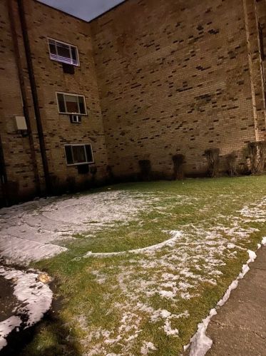 8619 Foster Ave, Chicago IL  60656-2724 exterior