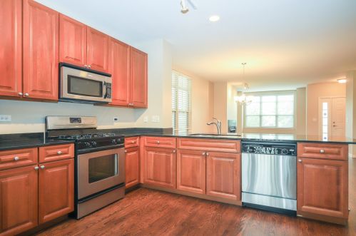 2529 Grenshaw St, Chicago IL  60612-4813 exterior