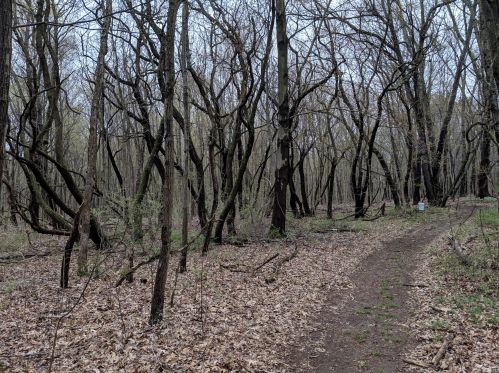 3763 2 St, Kalamazoo MI 49009-9319 exterior