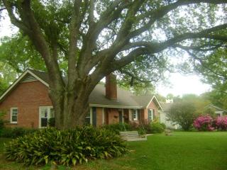 3413 Morning Glory Ave, Baton Rouge LA  70808-2864 exterior