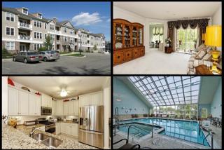 7213 Polk Dr, Wharton NJ  07885-4204 exterior