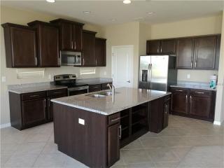 19229 Early Violet Dr, Tampa FL  33647-3684 exterior