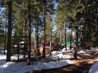 322 Cece Way, Mccall, ID 83638-4303