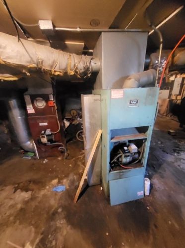 238 Norfolk St, Boston MA exterior