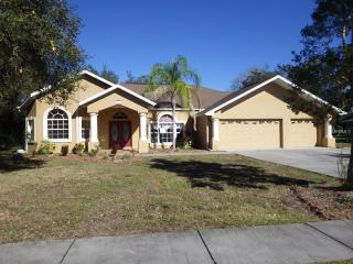 18824 Bascomb Ln, Port Richey FL  34667-8473 exterior