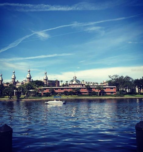 2207 Carolina Ave, Tampa FL  33629-3204 exterior