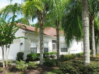 10205 Devonshire Lake Dr, Tampa, FL 33647-3237