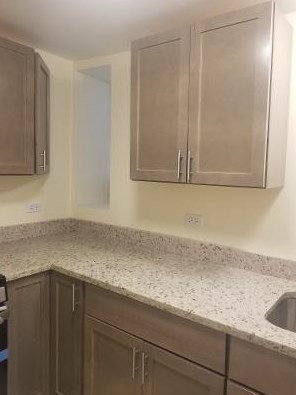 4113 Gladys Ave, Chicago IL 60624-3021 exterior