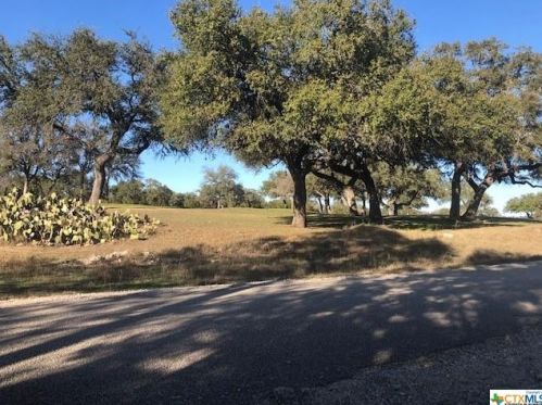 376 Fawn Dr, Spring Branch TX 78070-4704 exterior