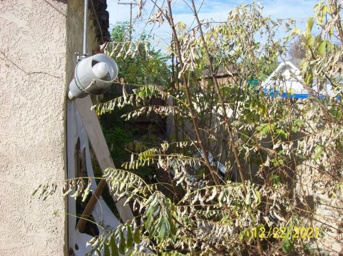 2705 Olive Ave, Fullerton CA 92833-3542 exterior