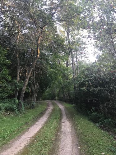 13956 10th St, Stillwater, MN 55082-1904