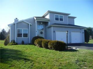 41 Audubon St, Suffield, CT 06078-2446