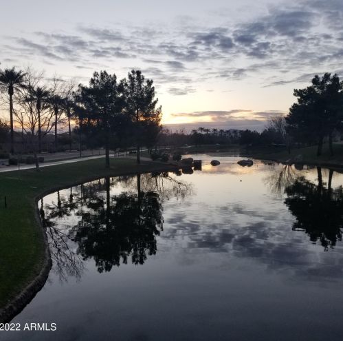 4114 Camellia Dr, Chandler AZ 85286-4437 exterior