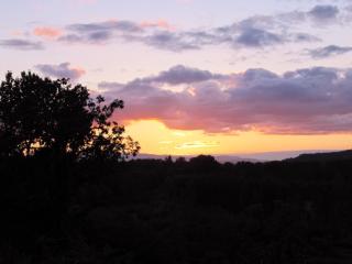 2331 Crestview Dr, Salem OR  97302-5373 exterior