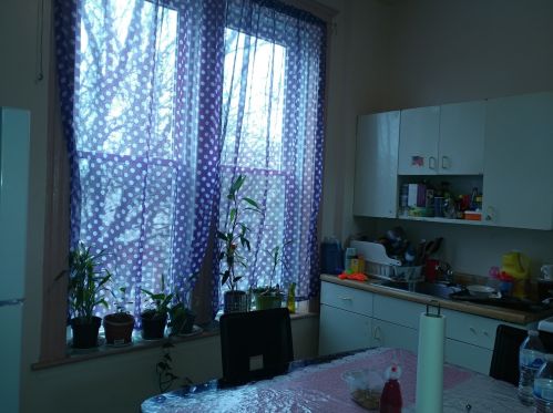 4801 Ada St, Chicago IL 60609-5919 exterior