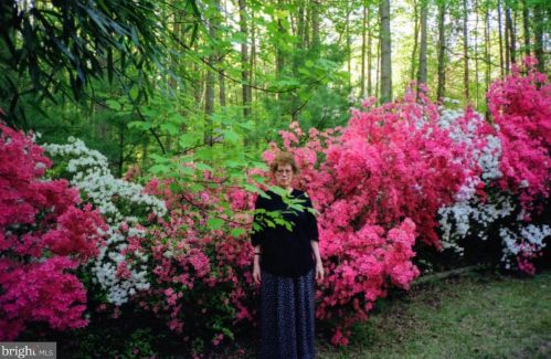 10618 Great Arbor Dr, Rockville MD 20854-4220 exterior