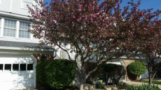 405 Bryant Dr, Hackettstown, NJ 07840-1649