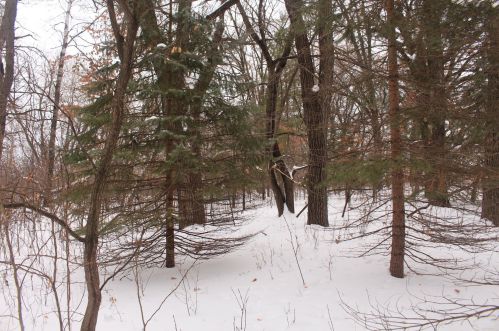 27539 104th St, Zimmerman MN 55398-4662 exterior