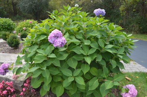 3504 Country Club Rd, Bull Valley IL 60012-2832 exterior