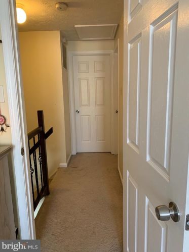 6064 Chicory Pl, Alexandria VA 22310-4411 exterior