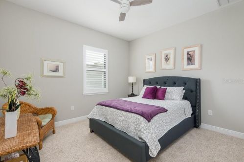 3017 Ballast Point Blvd, Tampa FL 33611-3902 exterior