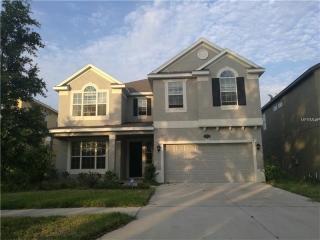 19229 Early Violet Dr, Tampa FL  33647-3684 exterior