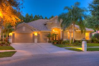 17810 Arbor Greene Dr, Tampa FL  33647-3136 exterior