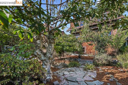 930 Shattuck Ave, Berkeley CA 94707-2401 exterior