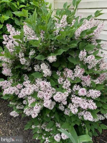 50 Steeplechase Cir, Chester PA 19014-1463 exterior